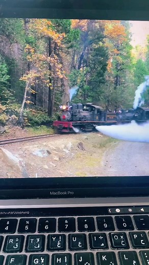 Funny Labrador Retriever Video: Loud Steam Engine & Panting Dog