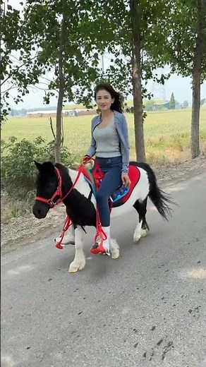 Riding a Pinto Pony Through the Village 👀