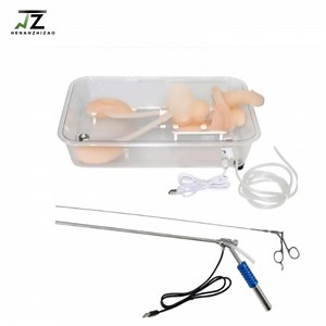 [Hot Item] Training Model for Ureteroscopy and Urinary Organ Model