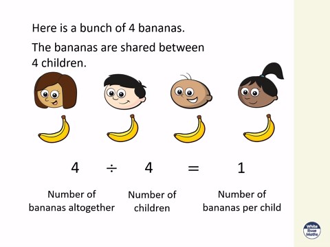 Y4 Autumn Block 4 TS12 Divide a number by 1 and itself