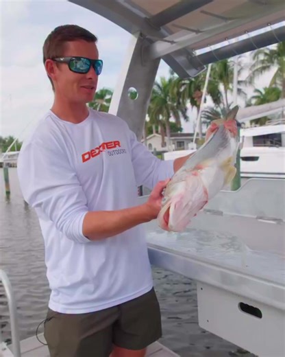 Elevate your grilling game with recteq! Get bold wood-fired flavor and restaurant-worthy results with the world’s first wood-fired griddle—the recteq SmokeStone. | Recteq