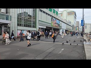 【高画質FHDライブカメラ】新宿南口 定点カメラ Shinjuku fixed-point camera【live camera】