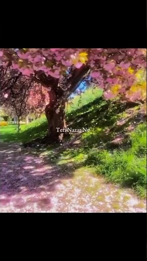 Teri Nazar Ne Yeh Kya Kar Diya | Thoda Thoda Pyaar | Stebin Ben | Aesthetic Lyrics #Shorts #Lyrics