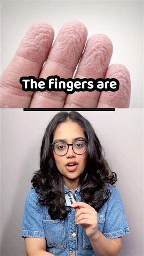 Advanced Adjectives To Describe The Body | English Vocabulary Lesson | Learn English With Ananya