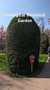Beautiful Zoological Botanical Garden
