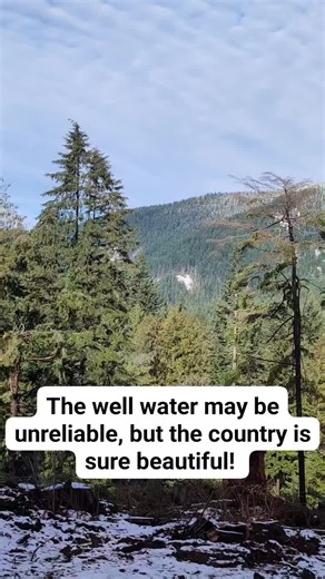 Beautiful Morning in Nature: Snowy Outdoor Scenes