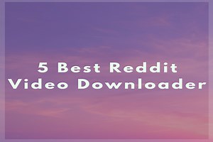 5 Best Free Reddit Video Downloaders - MiniTool