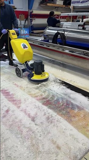Professional Rug Washing Step by Step