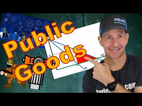 Micro 6.3 Public Goods (Rival vs Non-rival and Excludable vs Non-excludable goods)