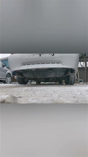 2004 3.9l Newedge Mustang Cold Start