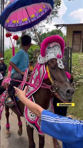 Horse galloping #shorts #horsegagging #horselumping