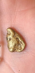 Watch as I turn this Self-mined Alaskan Gold Nugget into a one of a kind piece of handcrafted jewelry. #thepeekingdoe #kaylajohanson #goldmining #goldnuggetjewelry #goldnugget #goldpanning #handmade #handcrafted #goldrush #wirewrappedjewelry #wirewrapping #golddigger #Gold | Kayla Johanson