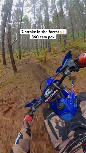 Trail Riding a YZ 250 in Forest #dirtbike #trailride #yz250 #insta360 #insta360x5 #2stroke