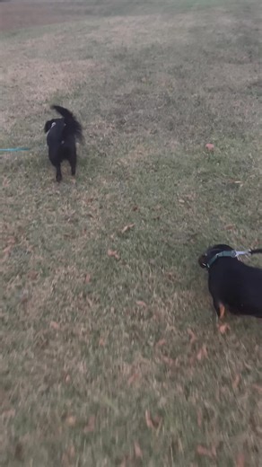 Kate Thompson on Reels