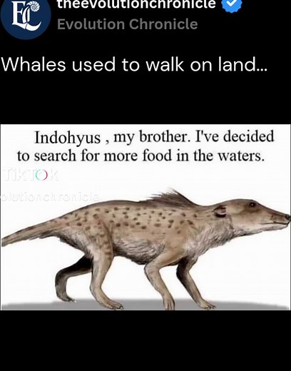 Indohyus: The Ancient Mammal That Linked Land and Sea