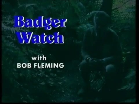 Happy National Badger Day! 🍯🦡 Today we are celebrating badgers and looking to a more hopeful future. National Badger Day, begins a campaign to embrace all that a love of wildlife gives us. #NationalBadgerDay | Bernie Briffa