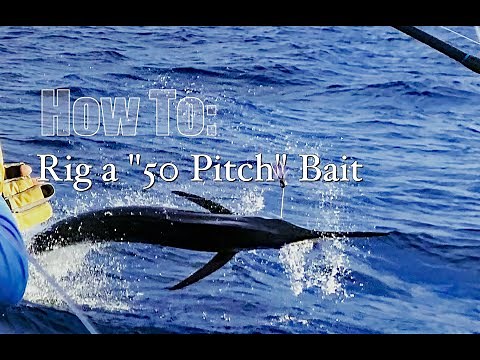 How To Rig a "50 Pitch" Bait for Blue Marlin Fishing