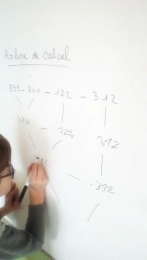 Arbre de calcul soustraction CE2 Ief "Nouvelle vie en famille"