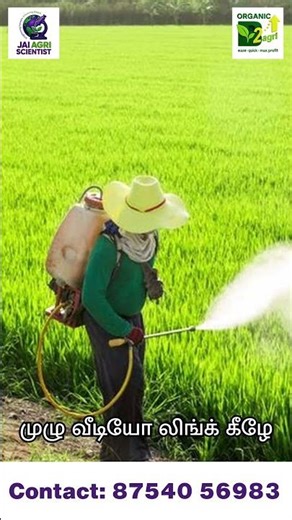 Real Problems in Agriculture | இன்றைய விவசாயத்தின் உண்மை பிரச்சனைகள் #biosuccess #farming