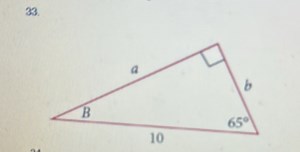 A right triangle is given with one side labeled as 10, one angl... | Filo