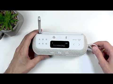 JBL TUNER 3 Unboxing & Quick Look