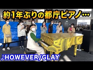 【1年ぶり】想いが溢れる都庁ピアノ...🥲✨結婚した友人の為に「HOWEVER/GLAY」弾いたら...【ストリートピアノ】