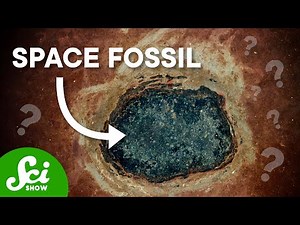 These Fossils Came From Space (But Aren’t Aliens)