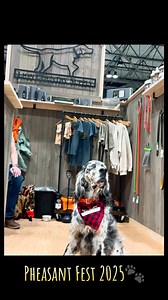 Highlights of Pheasant Fest 2025! Huge thanks to Pheasants Forever for hosting such an amazing event and having us there. Also, a big shoutout to Garmin for the partnership. It was a great time connecting with both old and new customers, as well as fellow vendors who share the same passion for the sport and gun dogs! #pheasantfest2025 #lcsupply #gundog #garmin | Lion Country Supply