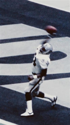 "TD RAIDERS! Kenny King on a Plunkett pass"