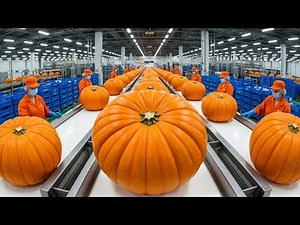 Inside a modern pumpkin processing plant:From whole pumpkins to premium canned pumpkins|Full Process