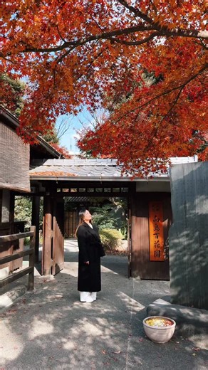 Lara | Japan Travel & Lifestyle on Instagram: "🍃Exploring a quieter side of Tokyo 🍁 I had a slow but wonderful day catching the beautiful autumn leaves at Mukojima-Hyakkaen, one of Tokyo’s hidden gardens that feels calm and timeless. After that, I enjoyed a cozy lunch at Trattoria I Viaggatori, where I got to chat with the owner and the staff, who welcomed me so warmly. It was one of those days that reminds you how nice it is to slow down and connect, not just with places but with people too.