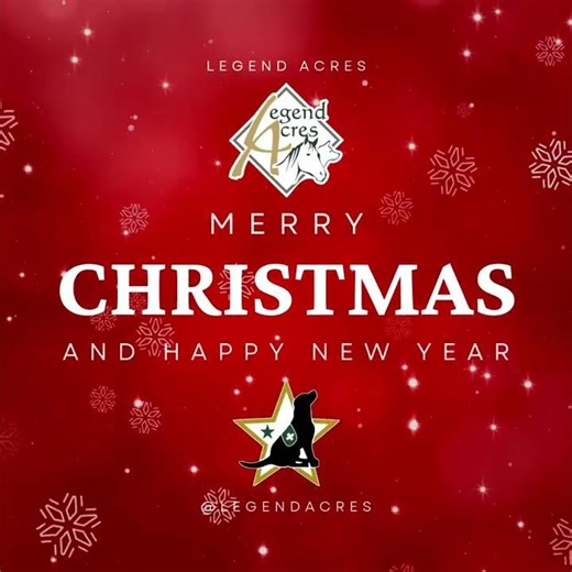 Red Modern Merry Christmas Animated Social Media (1).mp4