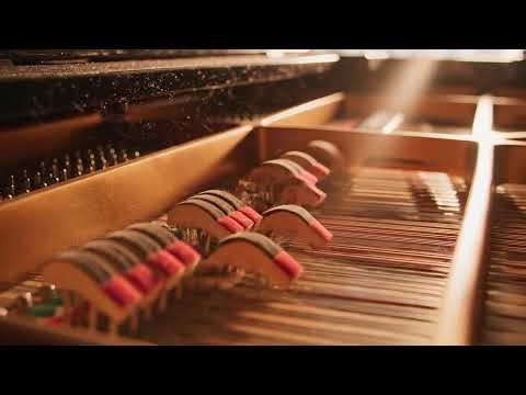 Secret Library Jazz Piano Hidden Collection 📚 Mysterious Elegant Music for Deep Night Studying