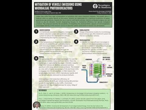 Evidence 2 Infographic Video A01649209