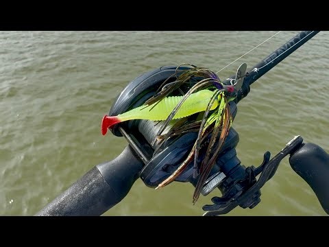 CHATTER SHAD SLAYS POST SPAWN! |Fort Worth BFS|