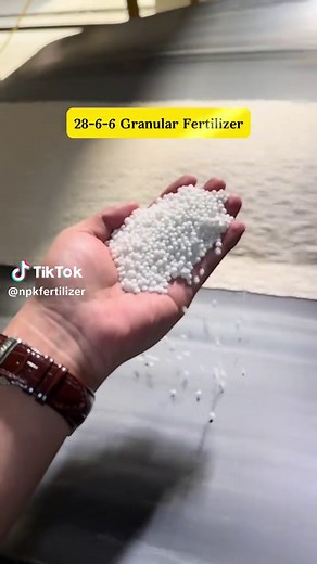 【28-6-6 compound fertilizer】High nitrogen formula, the secret of the crazy growth of leafy vegetables! High nitrogen ratio (28% nitrogen), suitable for promoting leaf growth and plant health, suitable for leafy vegetables such as spinach, lettuce, lettuce, celery, chives, etc.#rissofertilizer #creatorsearchinsights #bestfertilizer #fertilizer #fertilizertips #blendedfertilizer #compoundfertilizer #npkfertilizer #plantcaretips #agriculture #watersolublefertilizer #plantfertilizer #chemical