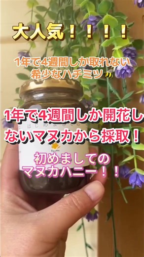 感想→ハチミツの頂点のマヌカハニー🍯🐝✨ ニュージーランドに自生する「マヌカ」の花から採れる、非常に希少な蜂蜜だよ🌳✨特有の抗菌成分「食物メチルグリオキサール（MGO）」を豊富に含み「蜂蜜の王様」や「癒しの木」と呼ばれ、健康維持に最適✨ 1年で約4週間しか開花しないマヌカの花から採取されるため、生産量が少ない希少品✨ #マヌカハニー #美容 #はちみつ #はちまみジーランド #superfood
