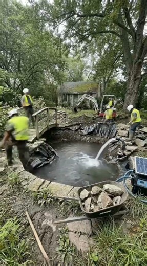 most beautiful pond/cartoon.ai1i