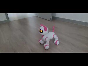 이마트 로봇 고양이 아이코코 춤(나보다 춤 잘추쟈냐???ㅠ)