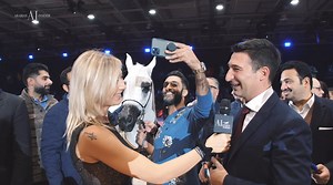 🇫🇷 PARIS ARABIAN HORSE WORLD CHAMPIONSHIP ✔️ DAY 3 - THE CHAMPIONSHIP Another edition of the Arabian Horse World Championship has come to an end. Yesterday the Yearling, Junior and Senior Female & Males World titles have been awarded to some of the most beautiful horses around. In addition, the World Platinum Champion Stallion title was given to the unique Hariry Al Shaqab who got back to the show ring after some time in the Performances' world and impressed the whole arena with Michael Byatt 