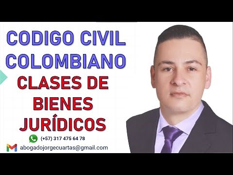 CLASSES OF PROPERTY CIVIL CODE THEIR CLASSIFICATION AND CONCEPT (UPDATED)