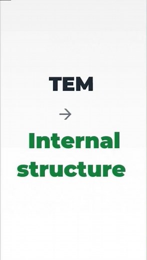 TEM vs SEM in 5 seconds