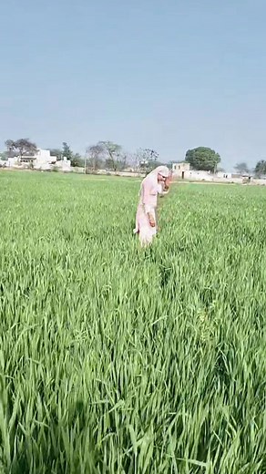 Jinat Aaman on Reels