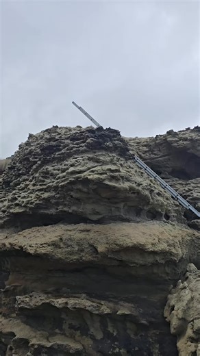 Fishing Adventures on the West Coast of New Zealand