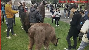 强！秒变高清，视频纹理去除！港大等新开源，CVPR2022