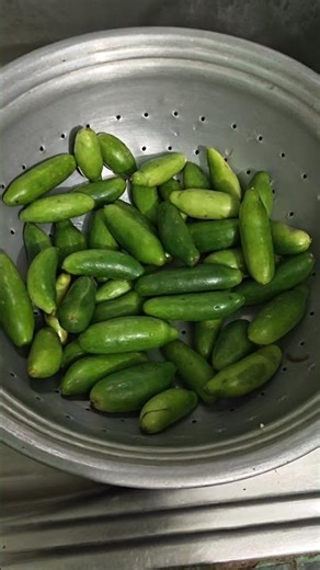 mini vlog part 2 #coachbags #dailyvlog #minivlog #jalandharvlog #meeshofinds #meeshohaul #shorts