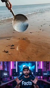1.5M views · 4.5K reactions | Chinese people are playing with mud by the sea #facts #knowledge #factsdaily #Amazing #BD #seaside | Unown Facts | Facebook