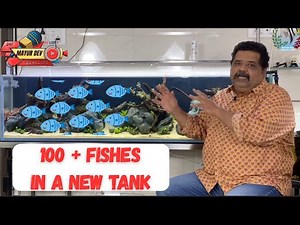 “Over 100 Fish Species for Your Aquarium – Beginner to Advanced”🐟