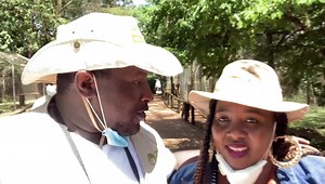 Terence creative on Reels