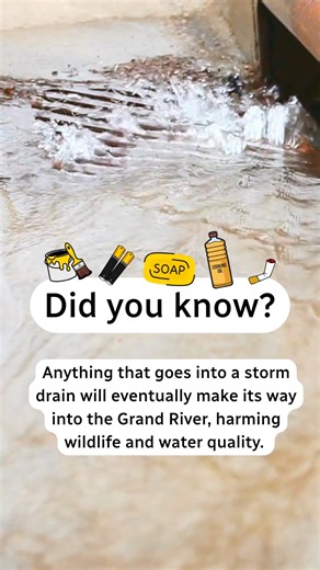 Help keep our water system clean - only rain should go down the drain! 💧 Stormwater is rain and melted snow that runs off hard surfaces like roads, driveways and rooftops into storm drains (the metal grates at the edge of roads). It then flows straight into creeks, ponds and wetlands without being treated. If harmful substances like oils, paint, chlorine or litter get into the system, it can make water unsafe for people and wildlife. Help keep everyone safe by protecting our stormwater! | City 